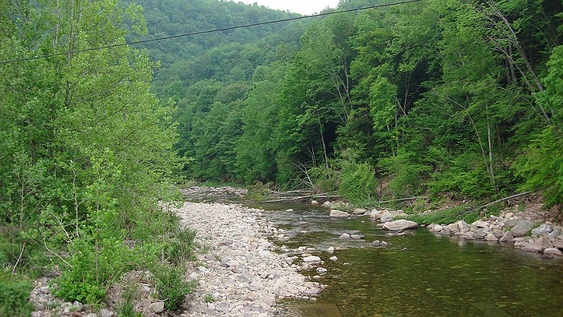 Loyalsock Senic3.JPG
